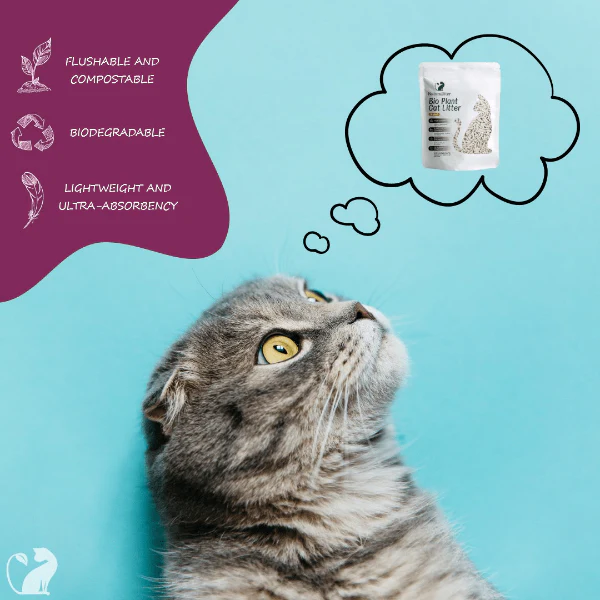 Naturalitter Bio Plant Cat Litter; Lavender - Image 6