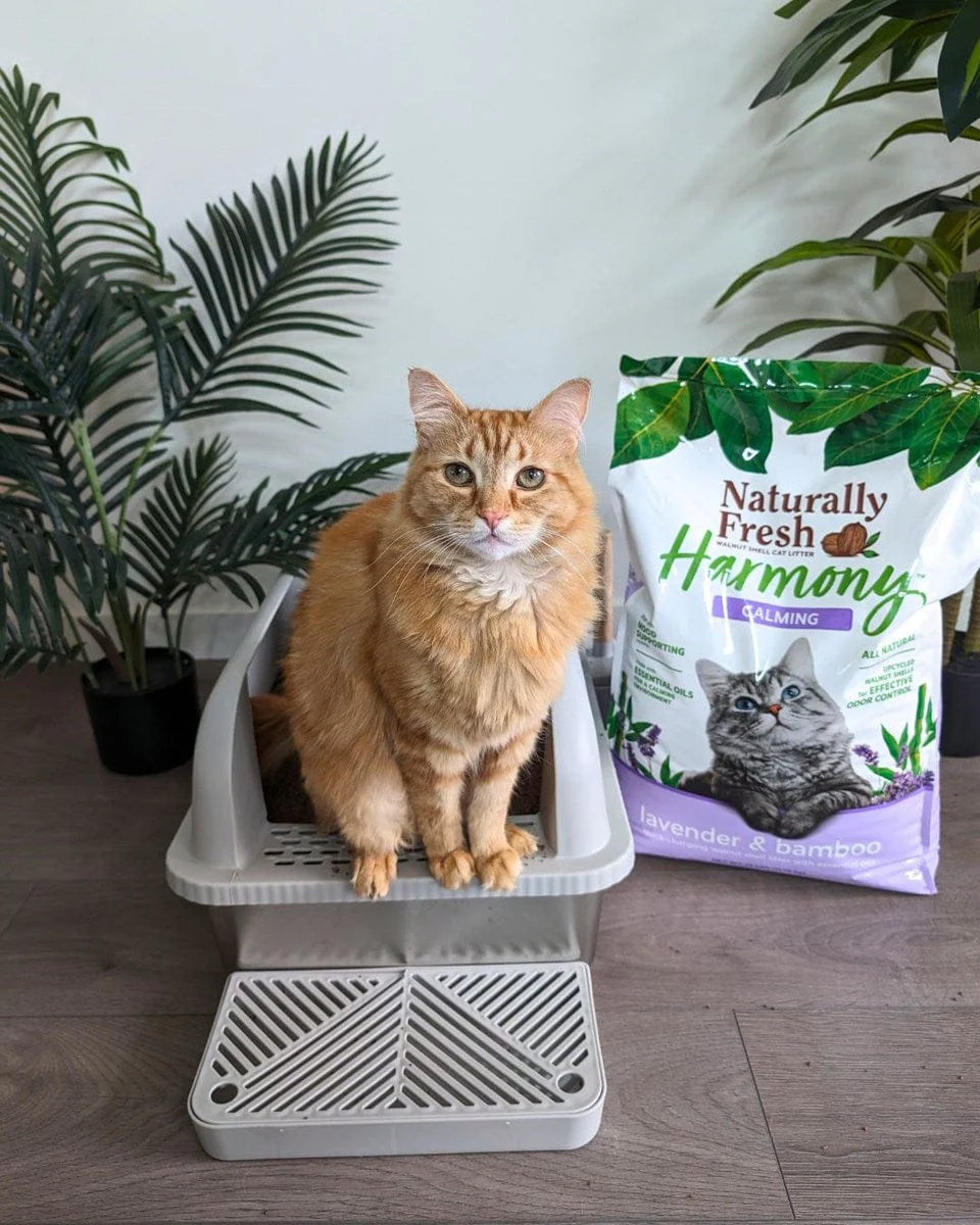 Naturally Fresh Harmony Calming Lavender & Bamboo Cat Litter - Image 5