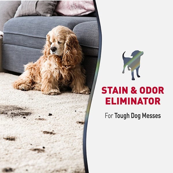 Nature's Miracle Advanced Stain & Odor Eliminator for Dogs - Image 2