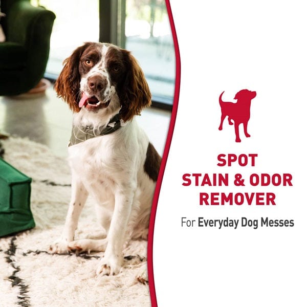 Nature's Miracle Stain & Odor Remover - Image 2