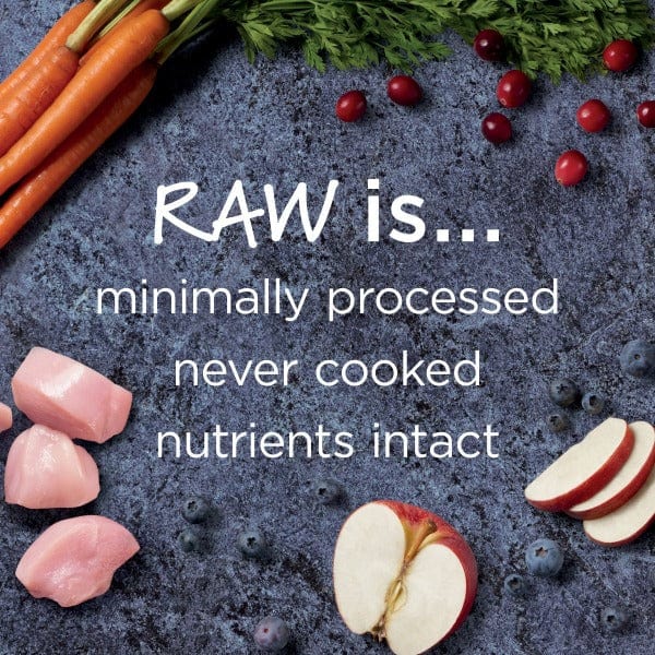 Instinct Raw Boost Real Chicken Recipe Puppy Dry Food, 4lb - Image 4