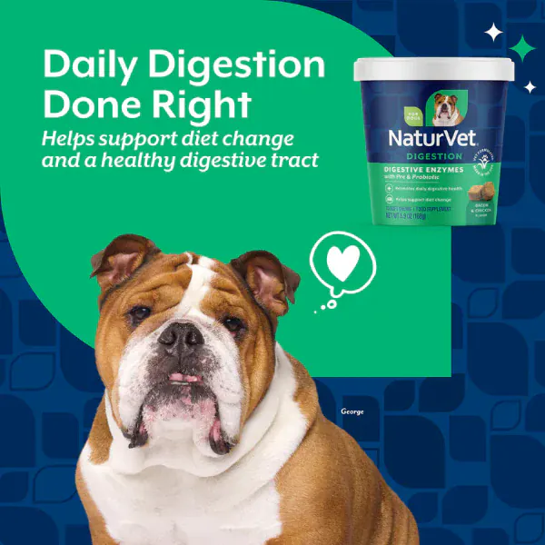 NaturVet Digestive Enzymes Plus Prebiotics & Probiotics Soft Chews for Dogs - Image 3
