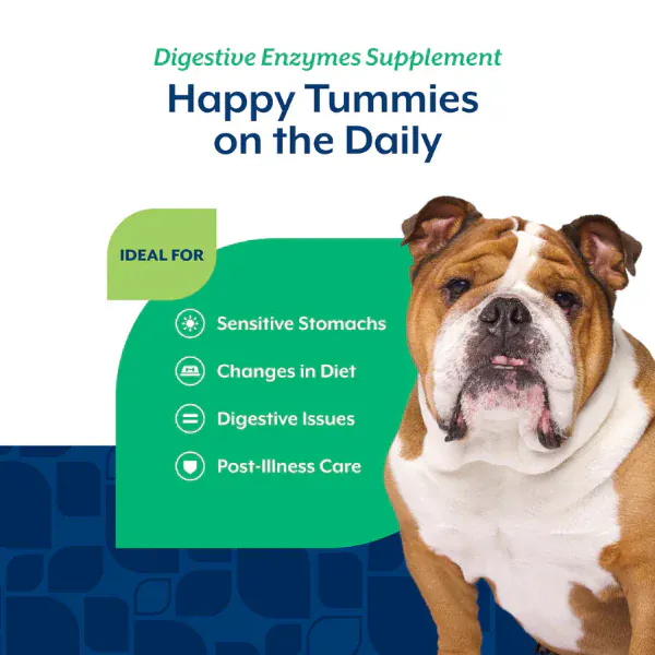 NaturVet Digestive Enzymes Plus Prebiotics & Probiotics Soft Chews for Dogs - Image 4