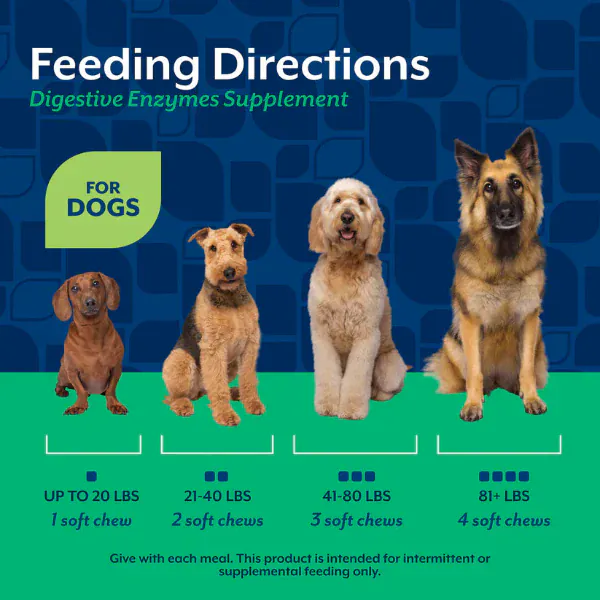 NaturVet Digestive Enzymes Plus Prebiotics & Probiotics Soft Chews for Dogs - Image 6