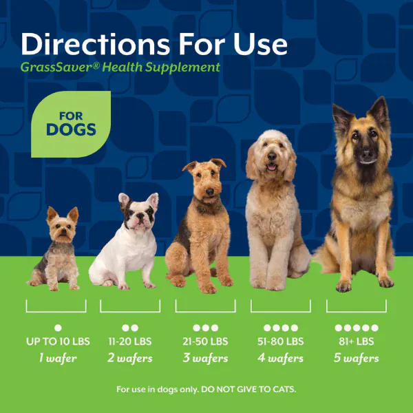 NaturVet GrassSaver Wafers for Dogs - Image 6