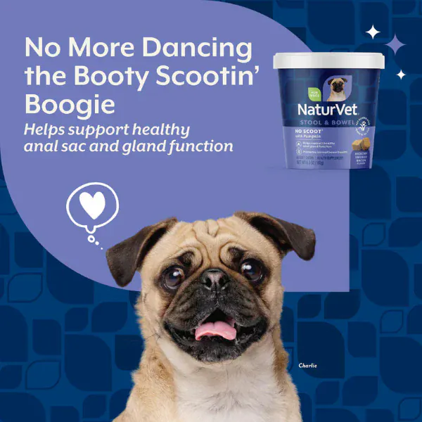 NaturVet No Scoot Plus Pumpkin Soft Chews For Dogs - Image 3