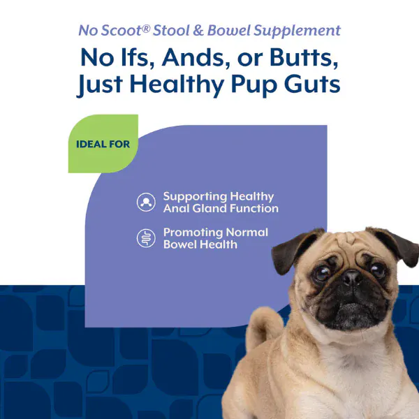 NaturVet No Scoot Plus Pumpkin Soft Chews For Dogs - Image 4