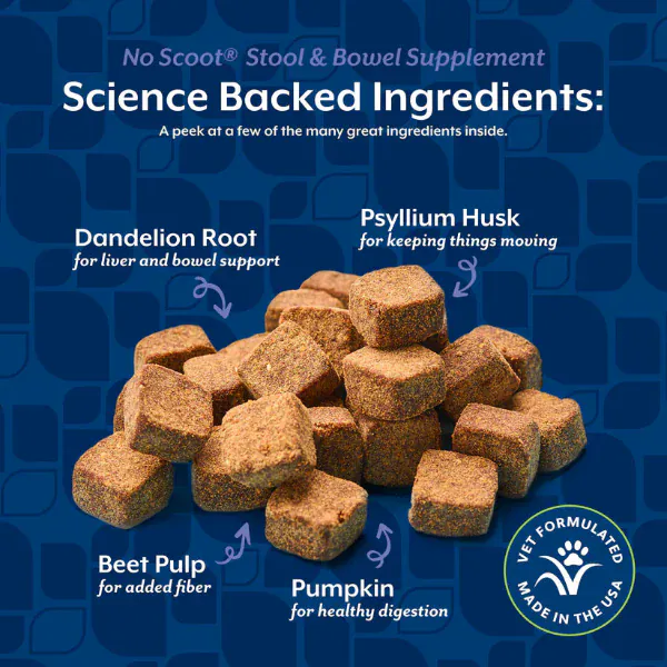 NaturVet No Scoot Plus Pumpkin Soft Chews For Dogs - Image 5