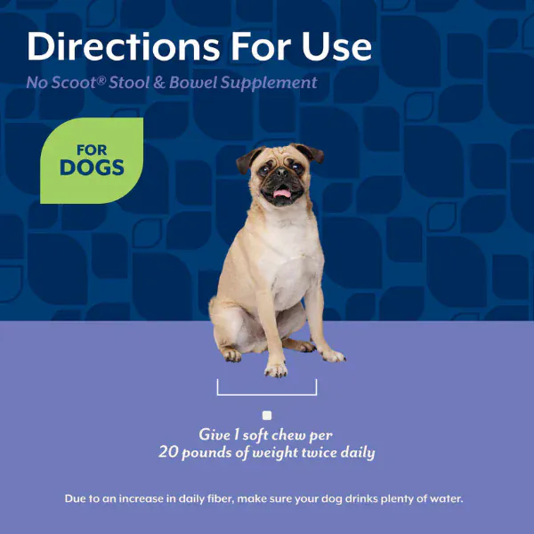 NaturVet No Scoot Plus Pumpkin Soft Chews For Dogs - Image 6