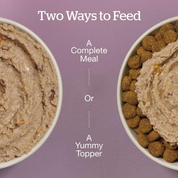 Now Fresh Chicken & Salmon Pâté Grain-Free Wet Senior Dog Food - Image 2