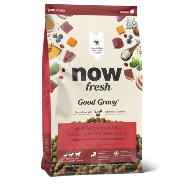 Now Fresh Good Gravy Beef Recipe Adult Dry Dog Food