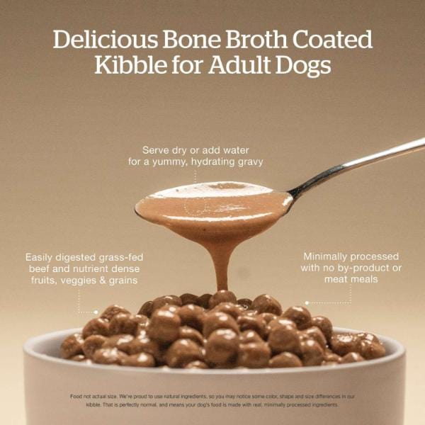 Now Fresh Good Gravy Beef Recipe Adult Dry Dog Food - Image 2
