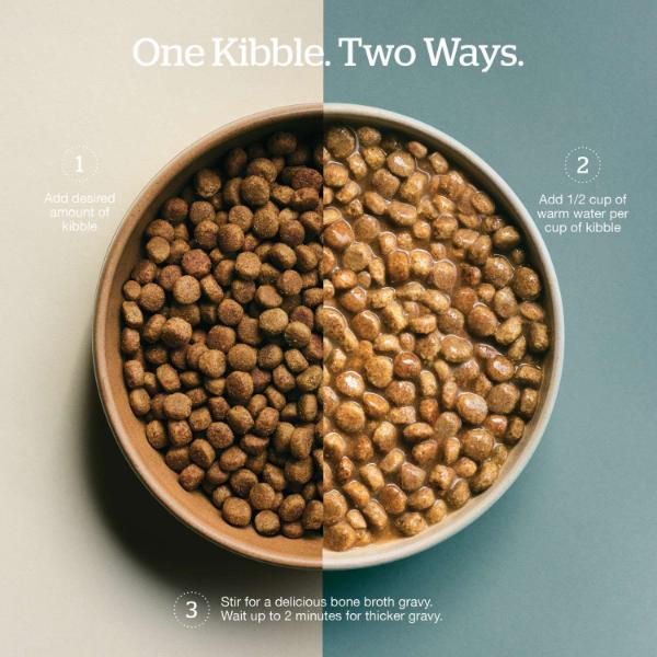 Now Fresh Good Gravy Beef Recipe Adult Dry Dog Food - Image 3