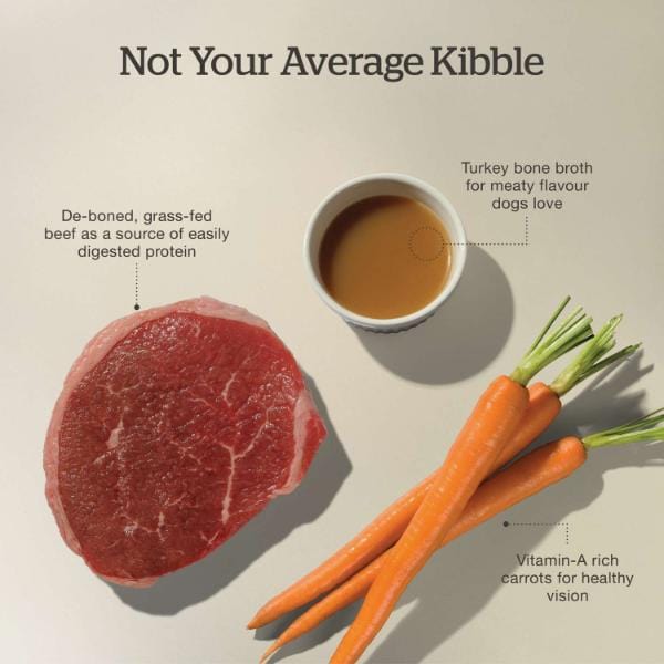 Now Fresh Good Gravy Beef Recipe Adult Dry Dog Food - Image 4