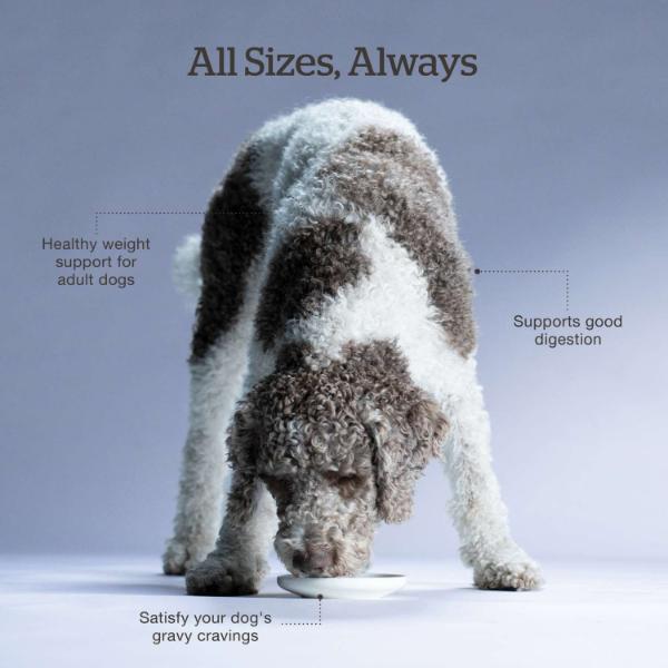 Now Fresh Good Gravy Beef Recipe Adult Dry Dog Food - Image 5