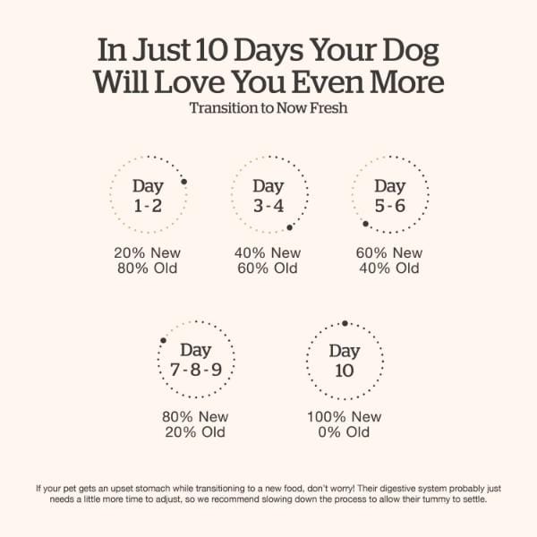 Now Fresh Good Gravy Beef Recipe Adult Dry Dog Food - Image 6