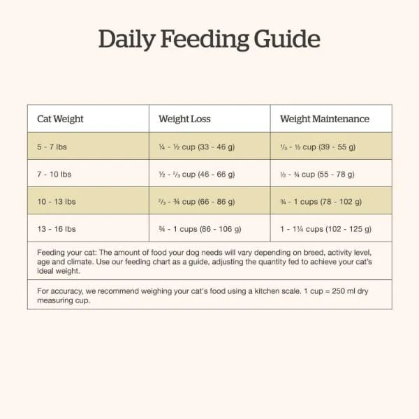 Now Fresh Good Gravy Chicken Recipe Adult Dry Cat Food - Image 6