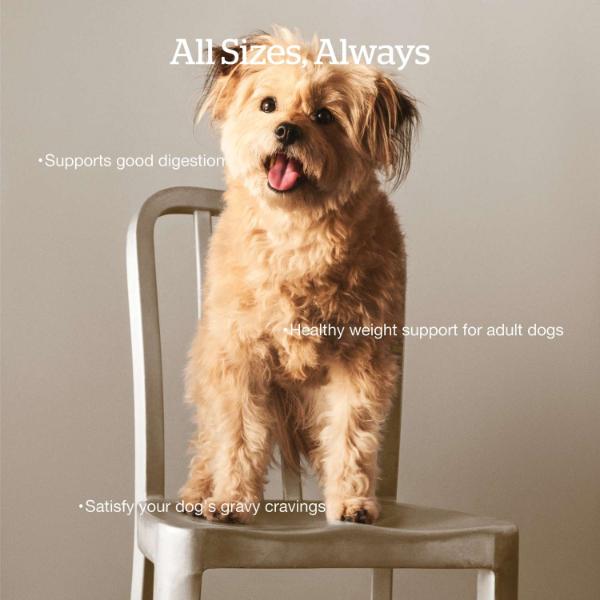 Now Fresh Good Gravy Chicken Recipe Adult Dry Dog Food - Image 3