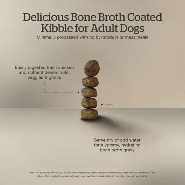 Now Fresh Good Gravy Chicken Recipe Adult Dry Dog Food - Image 4