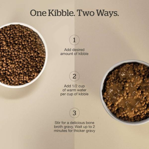 Now Fresh Good Gravy Salmon Recipe Adult Dry Cat Food - Image 2