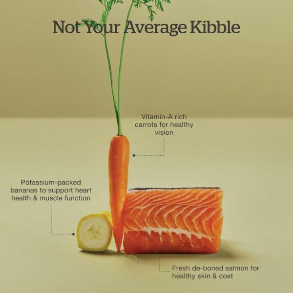 Now Fresh Good Gravy Salmon Recipe Adult Dry Cat Food - Image 5