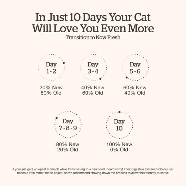 Now Fresh Good Gravy Salmon Recipe Adult Dry Cat Food - Image 7