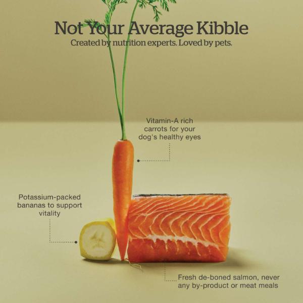 Now Fresh Good Gravy Salmon Recipe Adult Dry Dog Food - Image 4