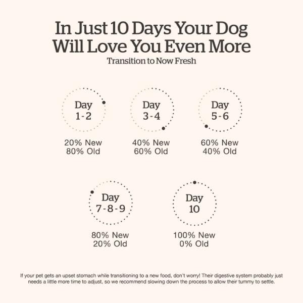 Now Fresh Good Gravy Salmon Recipe Adult Dry Dog Food - Image 6