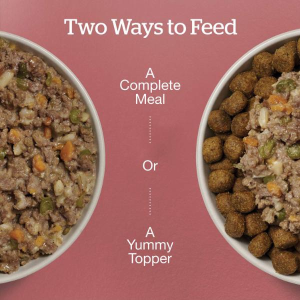Now Fresh Ground Beef & Rice Dinner Wet Dog Food with Grains - Image 2