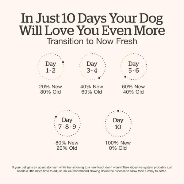 Now Fresh Ground Chicken & Rice Dinner Wet Dog Food with Grains - Image 5