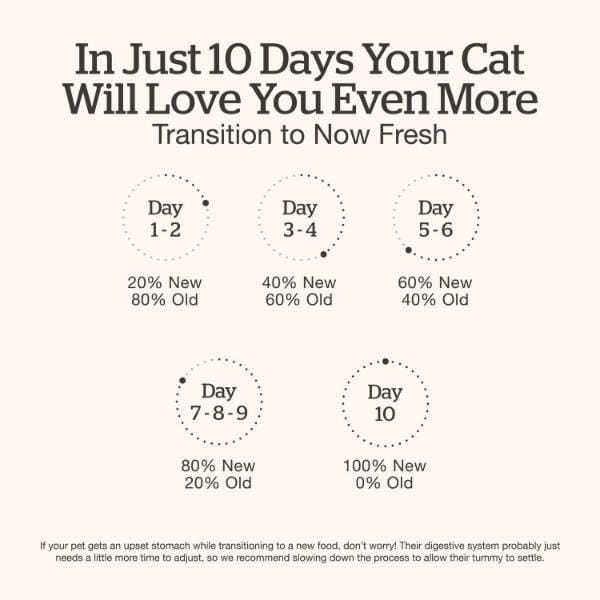 Now Fresh Tuna & Salmon Pâté Grain-Free Wet Cat Food - Image 5