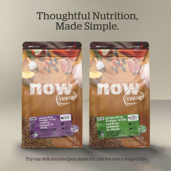 Now Fresh Turkey, Salmon & Duck Recipe Adult Dry Cat Food - Image 5