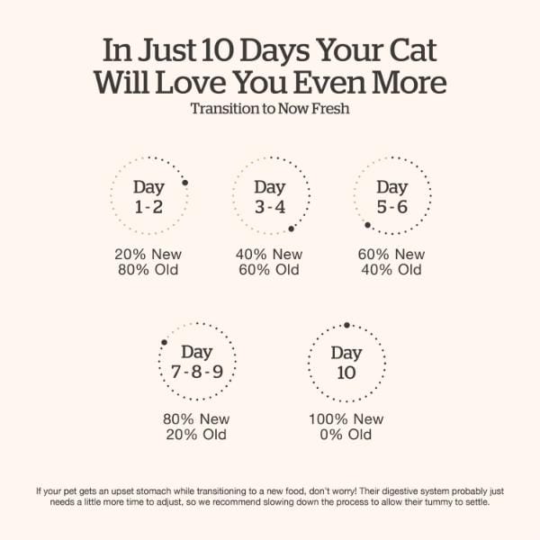 Now Fresh Turkey, Salmon & Duck Recipe Adult Dry Cat Food - Image 6