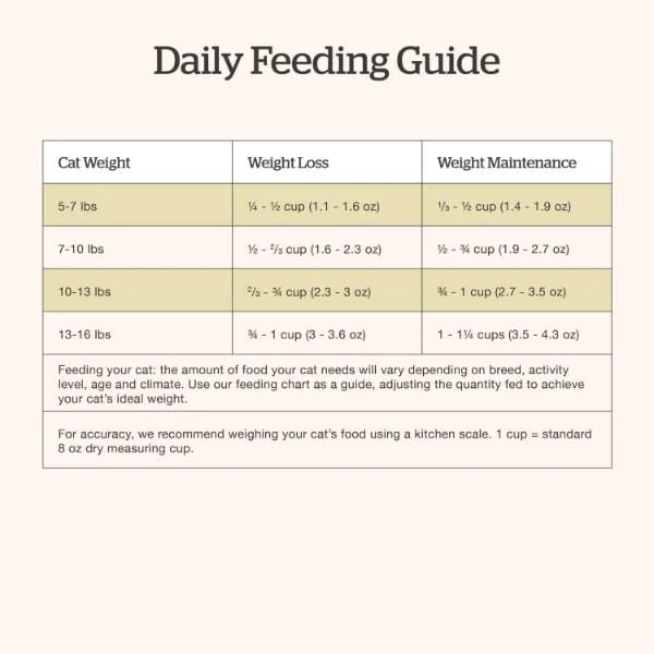 Now Fresh Turkey, Salmon & Duck Recipe Adult Dry Cat Food - Image 7