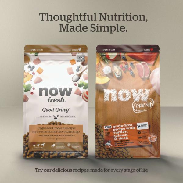 Now Fresh Turkey, Salmon & Duck Recipe Adult Dry Dog Food - Image 5