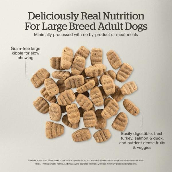 Now Fresh Turkey, Salmon & Duck Recipe Large Breed Adult Dry Dog Food, 25lb - Image 2