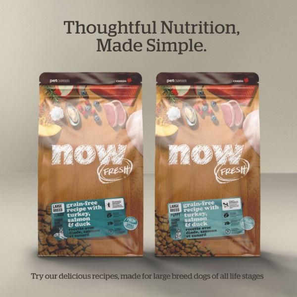 Now Fresh Turkey, Salmon & Duck Recipe Large Breed Adult Dry Dog Food, 25lb - Image 5