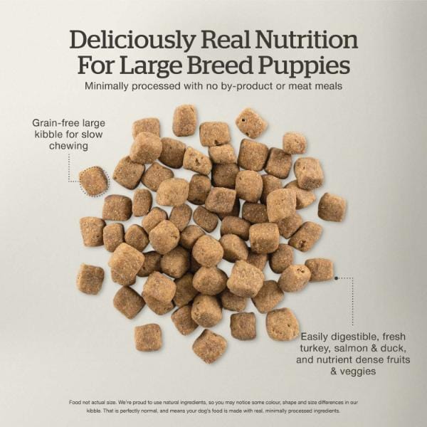Now Fresh Turkey, Salmon & Duck Recipe Large Breed Dry Puppy Food, 25lb - Image 2