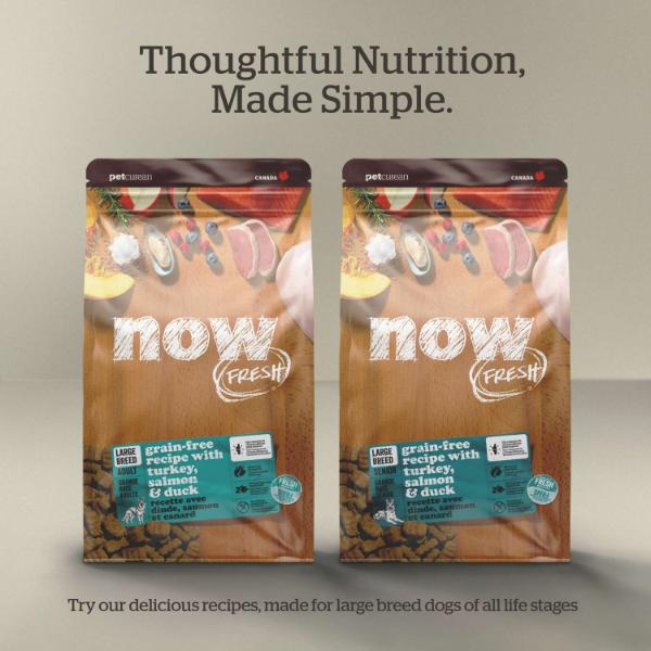 Now Fresh Turkey, Salmon & Duck Recipe Large Breed Dry Puppy Food, 25lb - Image 5