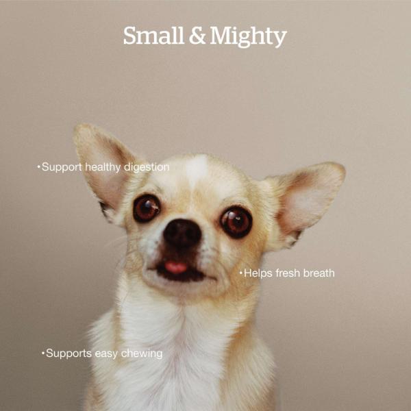 Now Fresh Turkey, Salmon & Duck Recipe Small Breed Adult Dry Dog Food, 12lb - Image 3