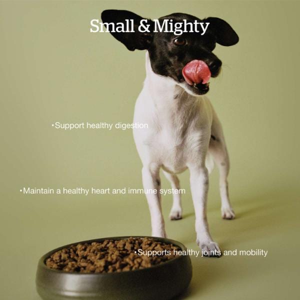 Now Fresh Turkey, Salmon & Duck Recipe Small Breed Senior Dry Dog Food - Image 3