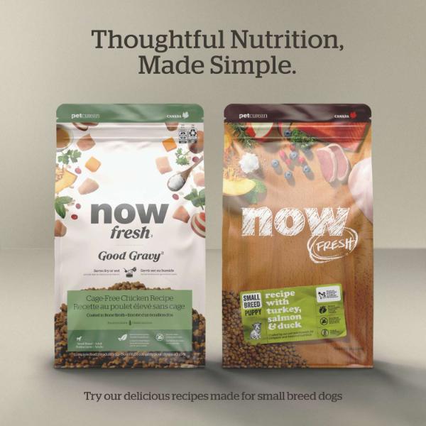 Now Fresh Turkey, Salmon & Duck Recipe Small Breed Senior Dry Dog Food - Image 5