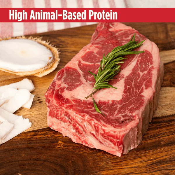 Nulo Freestyle Beef Recipe with Coconut Jerky Strips Dog Treats - Image 3