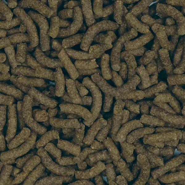 Fluval Bug Bites Pleco Formula Sinking Sticks, 130g - Image 2