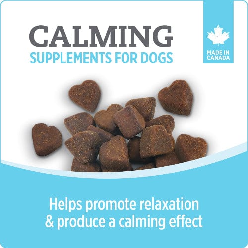 Nutrience Care+ Calming Dog Supplement - Image 3