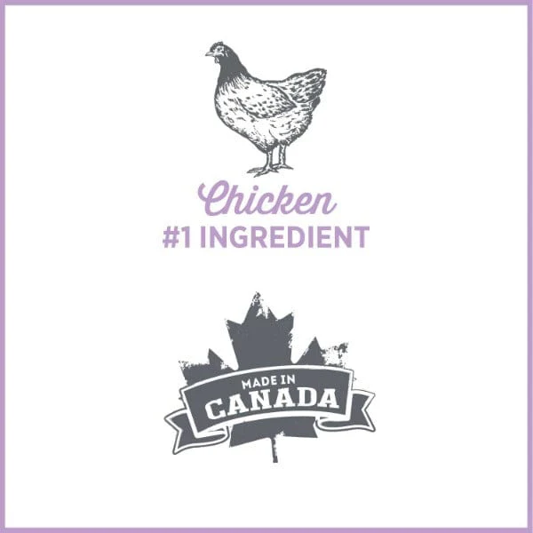 Nutrience Care+ Weight Management Canned Dog Food - Image 3