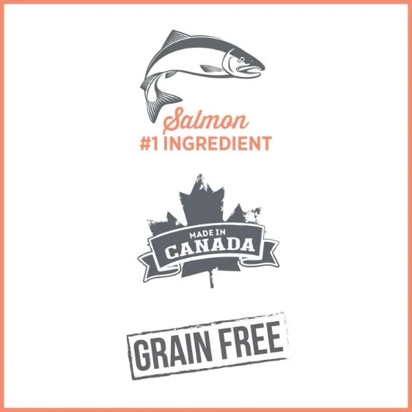 Nutrience Care+ Sensitive Skin & Stomach Canned Cat Food - Image 3