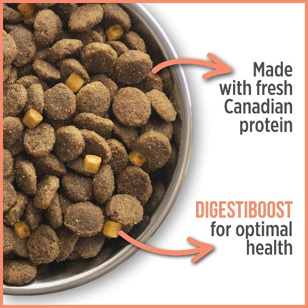 Nutrience Care+ Sensitive Skin & Stomach Hypoallergenic Dry Dog Food - Image 5