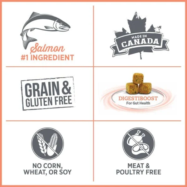 Nutrience Care+ Sensitive Skin & Stomach Hypoallergenic Dry Cat Food - Image 2