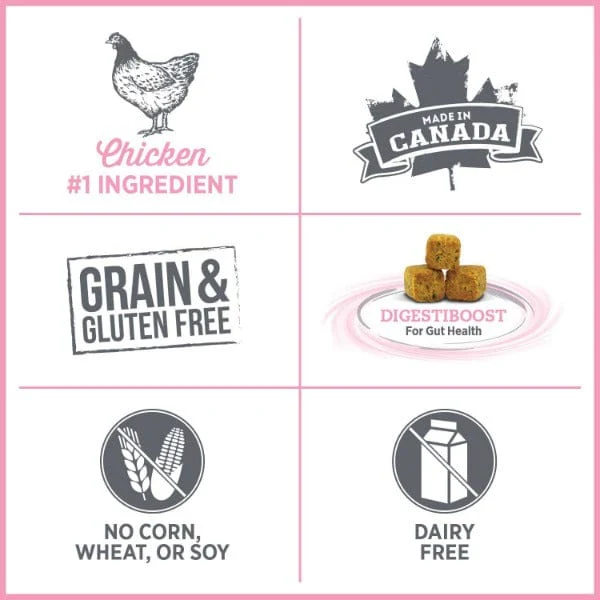 Nutrience Care+ Urinary Health Dry Cat Food - Image 2